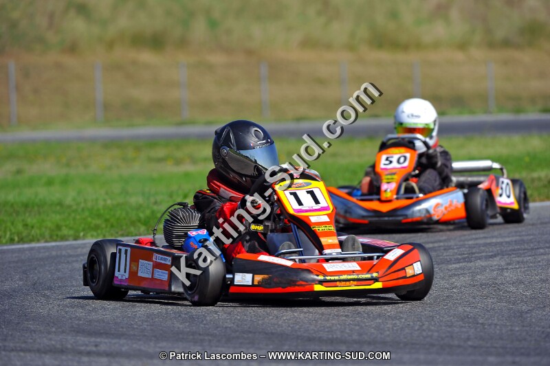 DSC_ (1294).jpg